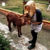 artsavesanimals